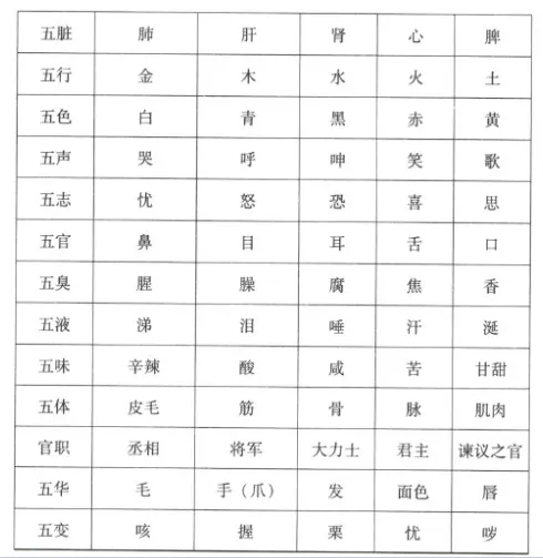 五脏与五行等的对应关系表.webp